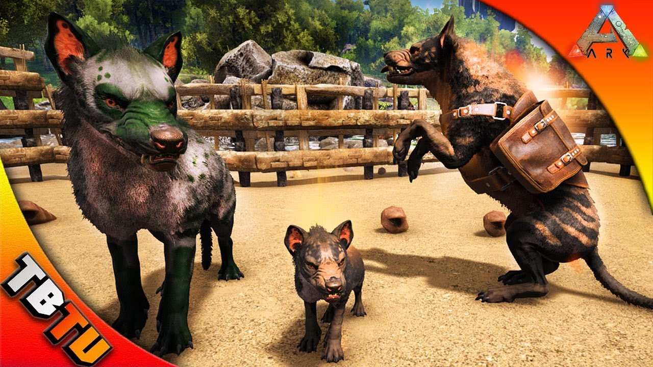 🚩 ARK HYAENODON TAMING AND BREEDING! HYAENODON LOCATION! ARK Survival Evolved Update V258