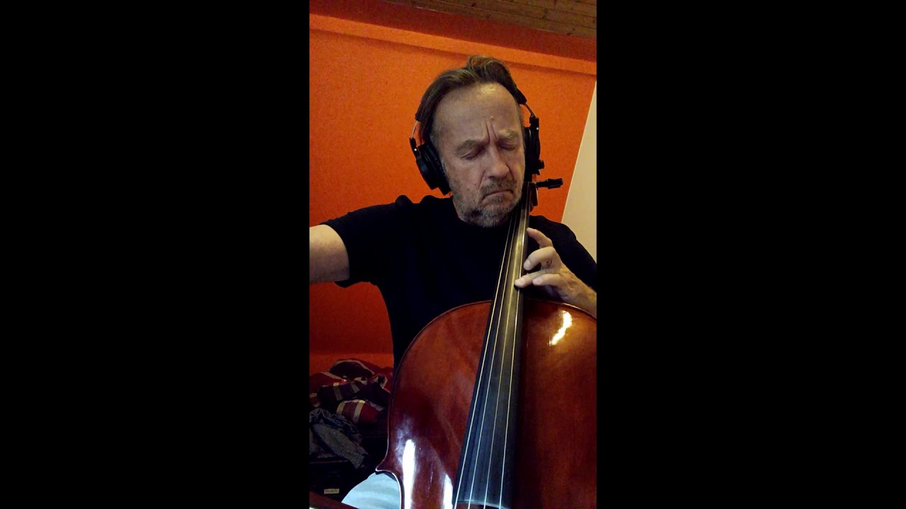 Camille Saint-Saëns, The Swan, today it is exactly 5 months with my cello