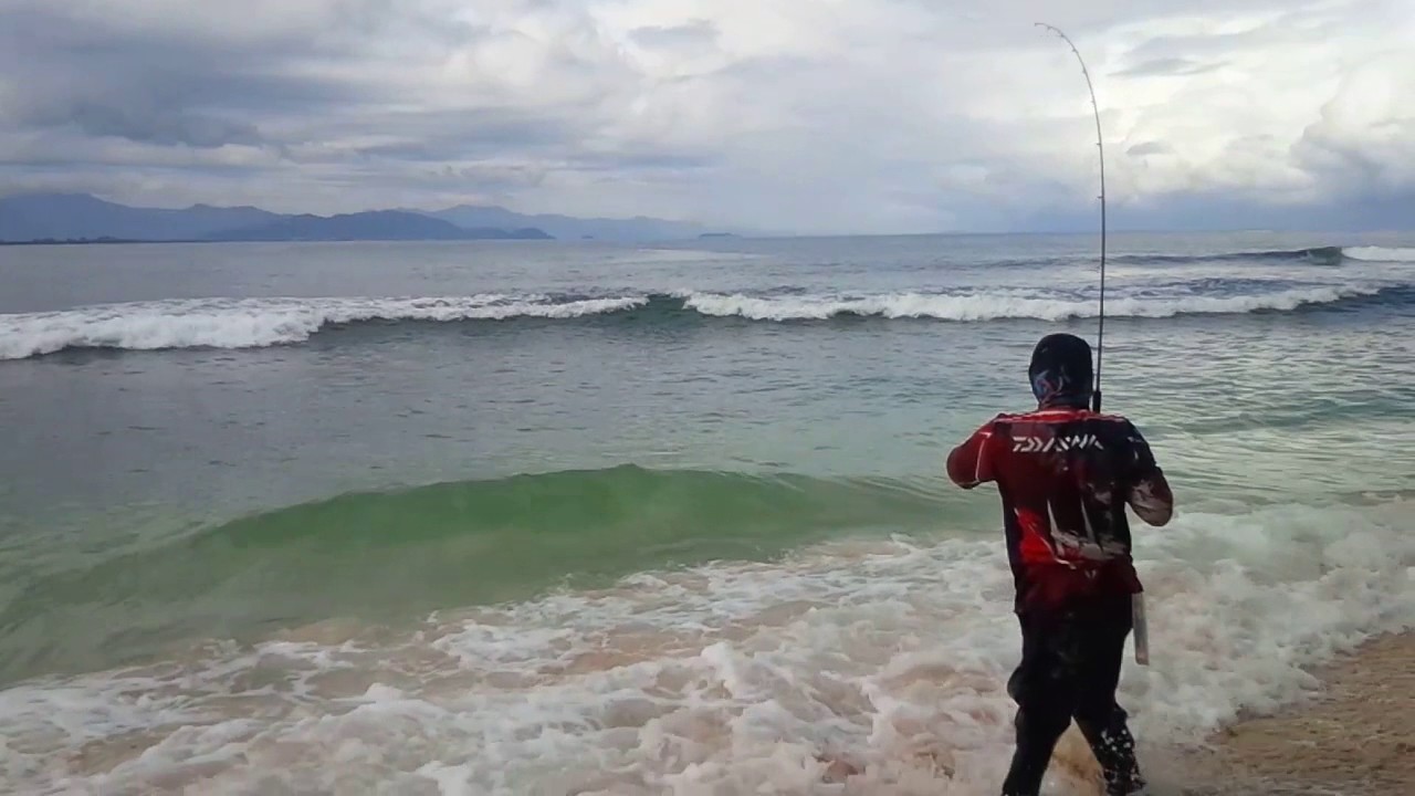 Landbase poping use storm monstar (halco roosta poper)