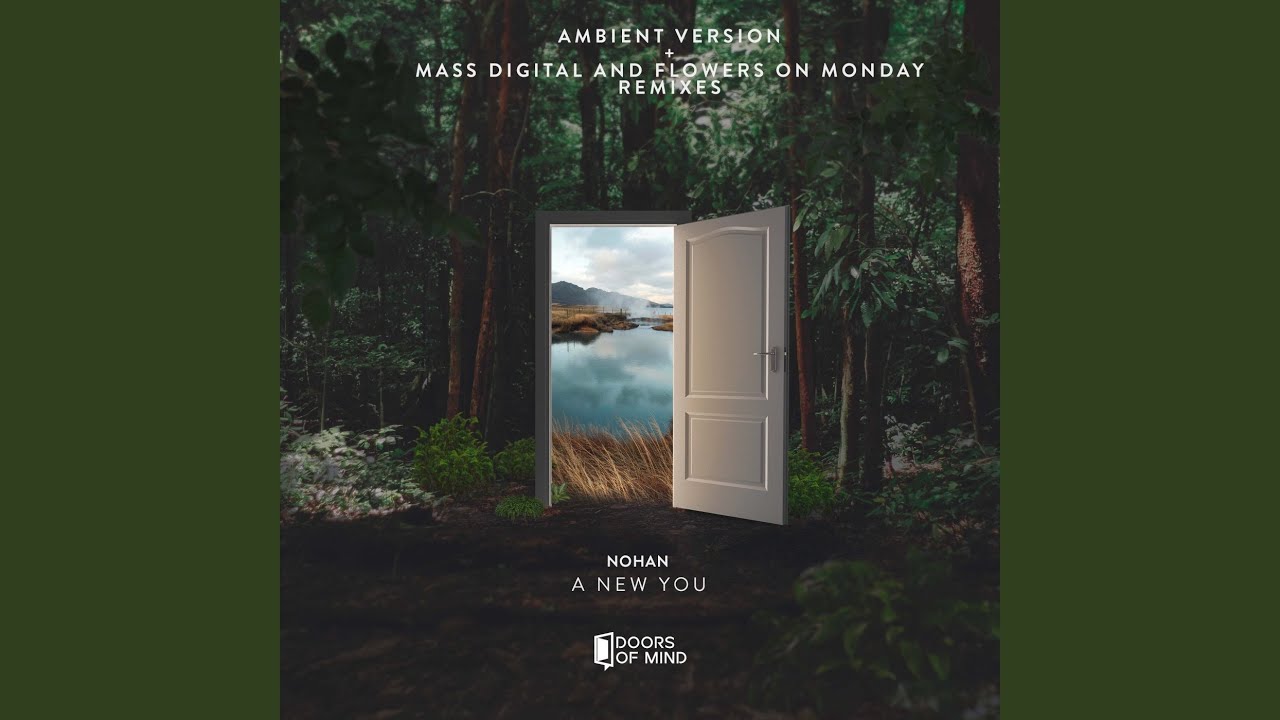A New You (Mass Digital Remix)