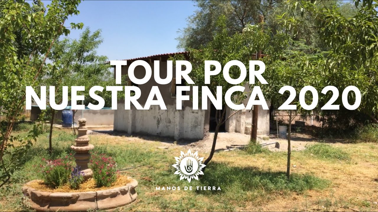 TOUR POR NUESTRA FINCA 2020/ VIVIENDO EN EL CAMPO/ MANOS DE TIERRA