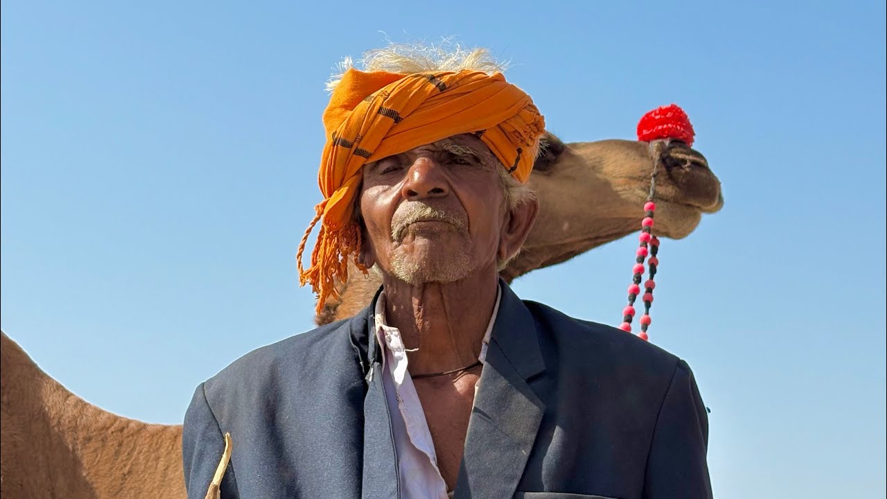 Sidhpur Camel Fair 2025 | Kartak Purnima no Melo | Gujarat