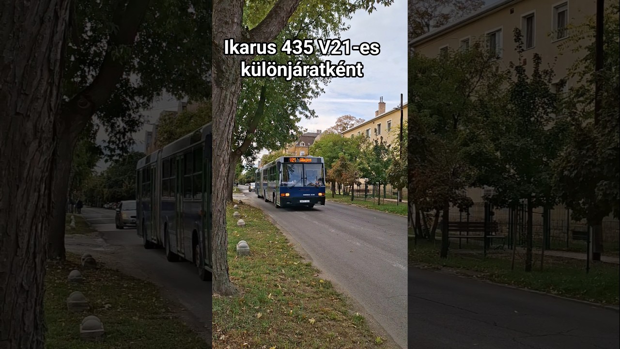 Ikarus 435 suhan🥀#bkv #bkk #busz #ikarus #travel