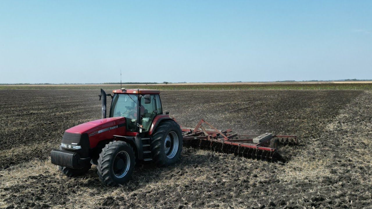 Repce magágy készítés Case IH Magnum MX 270 + 9.8 IH Tárcsa