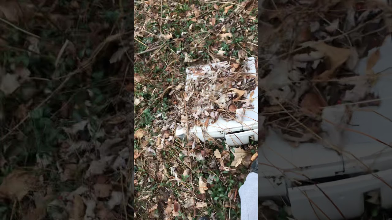 Printer/computer found in the woods
