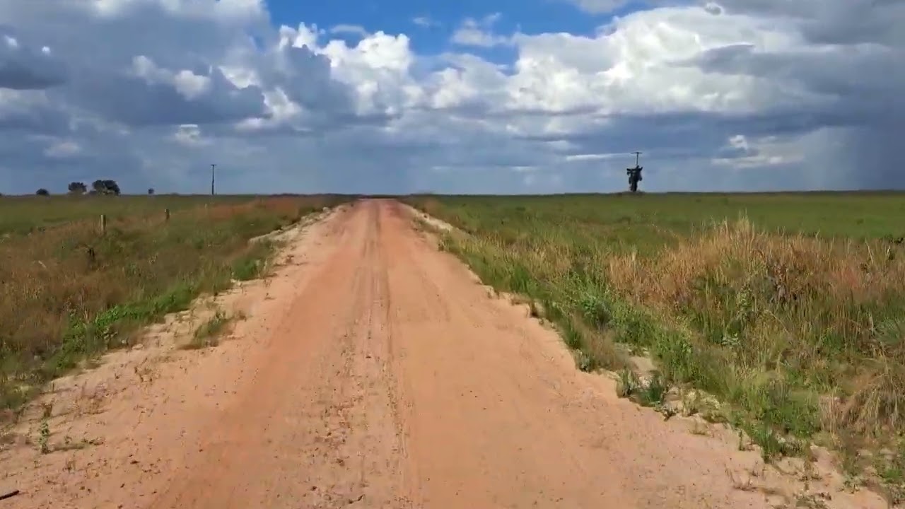 Lavrado de Roraima