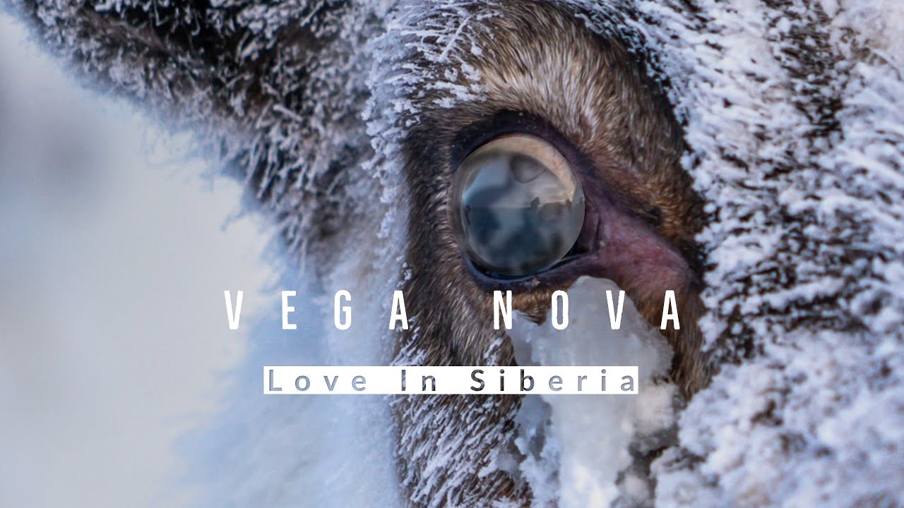 VEGA NOVA - LOVE IN SIBERIA
