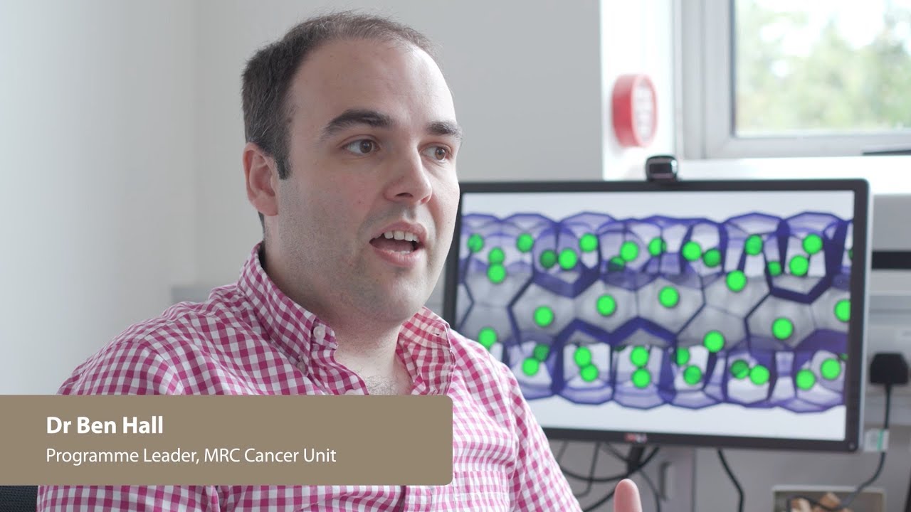 Przegląd laboratorium dr. Bena Halla