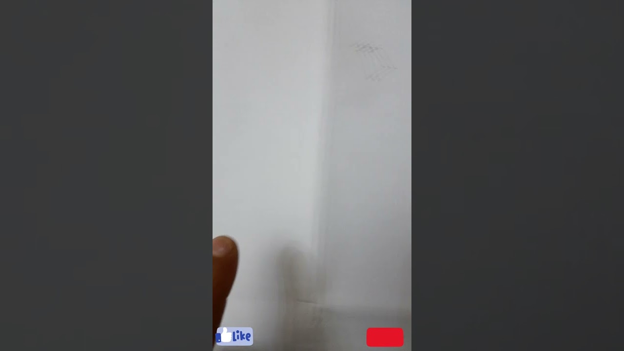 تتمة الجزء الثاني. la plancher reticulè