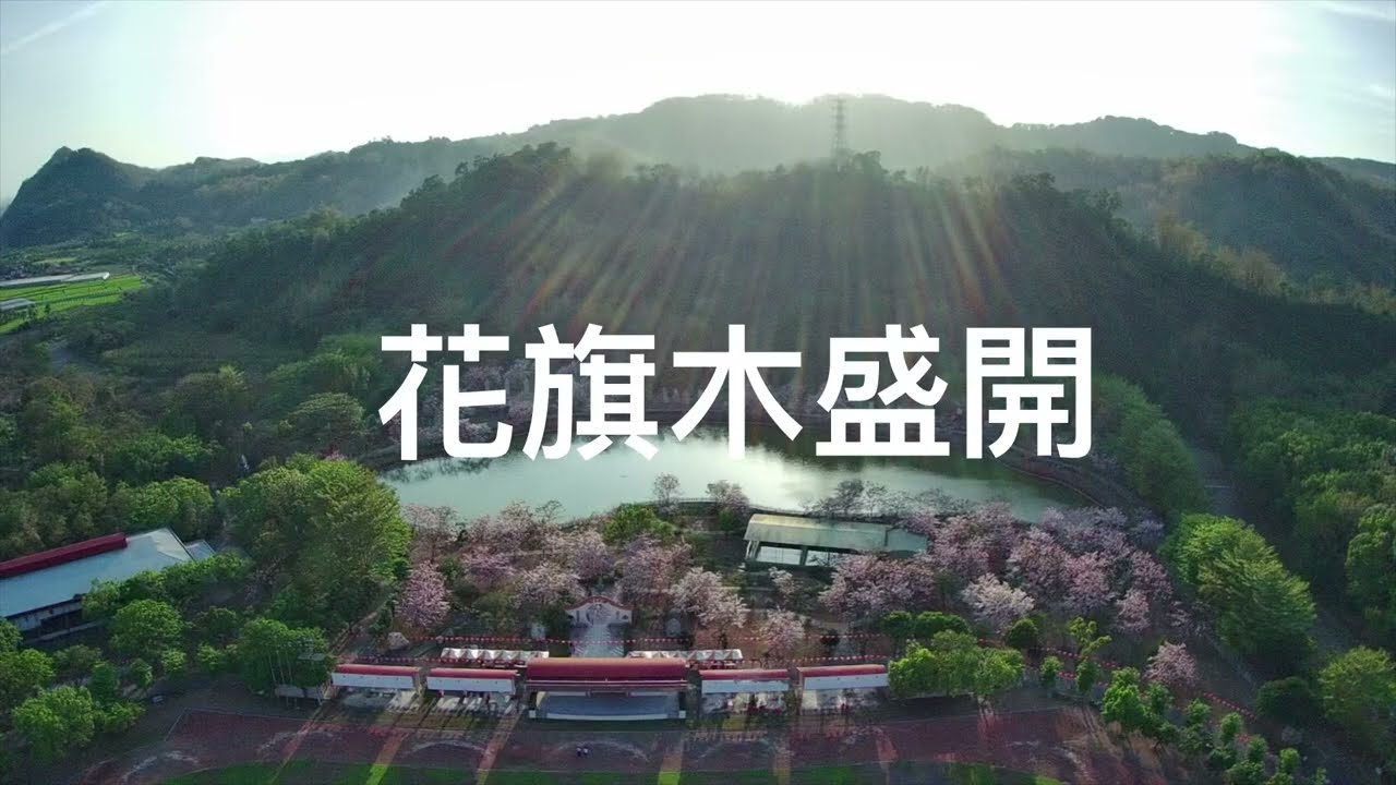 寶光建德天台山神威道場花旗木盛開(國產ida yuki plus航拍)