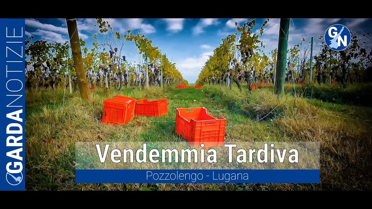Vendemmia tardiva per Tenuta Roveglia