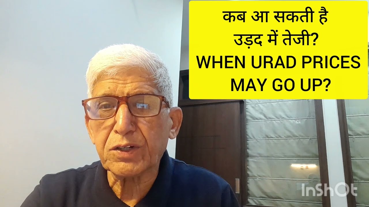 When might urad prices rise?