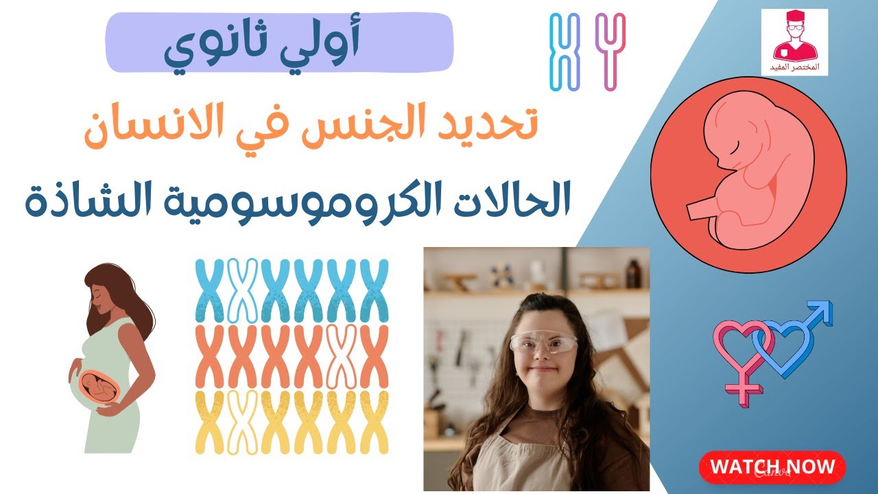 تحديد الجنس في الانسان والحالات الكروموسومية الشاذة || أحياء أولي ثانوي