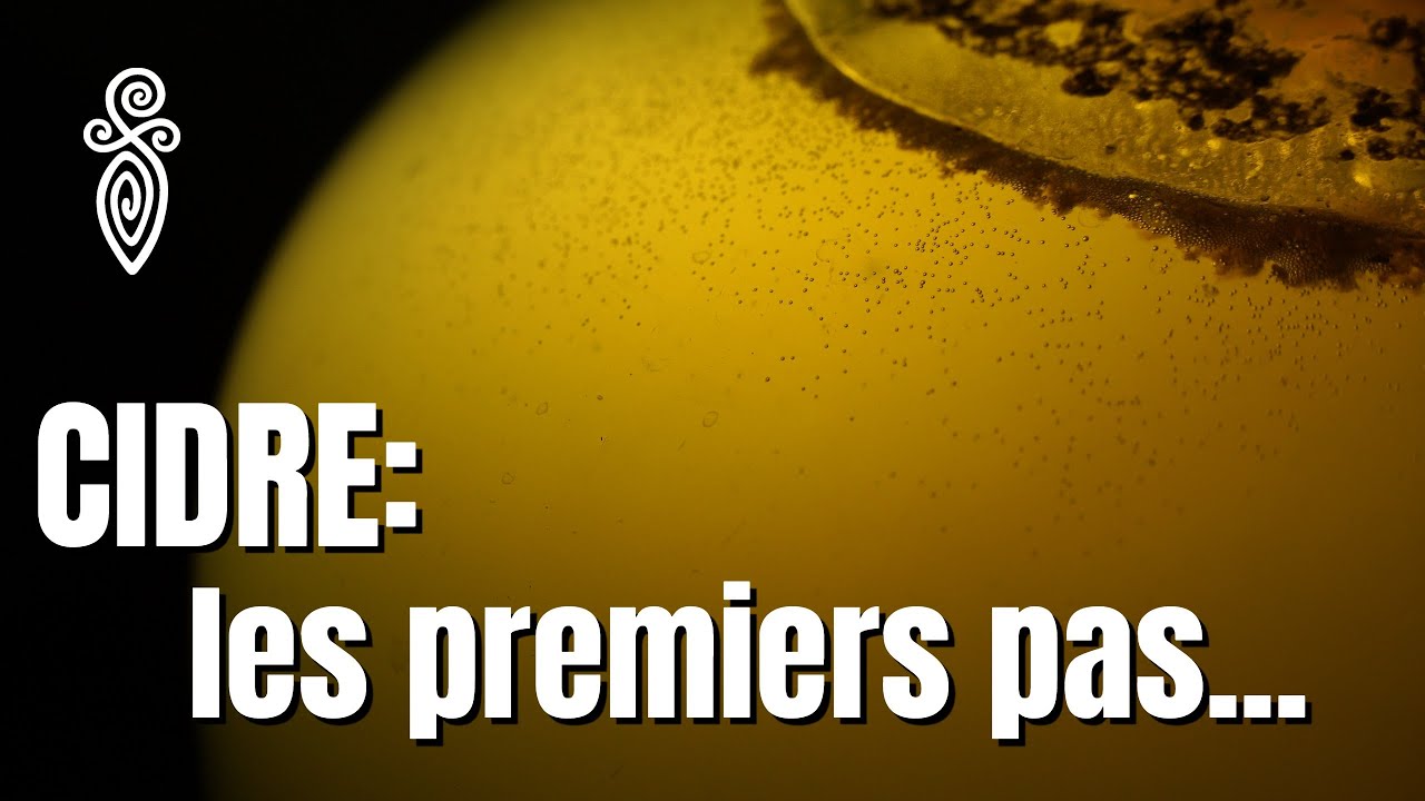 FABRICATION de CIDRE!!! (récolte sauvage et pressage)