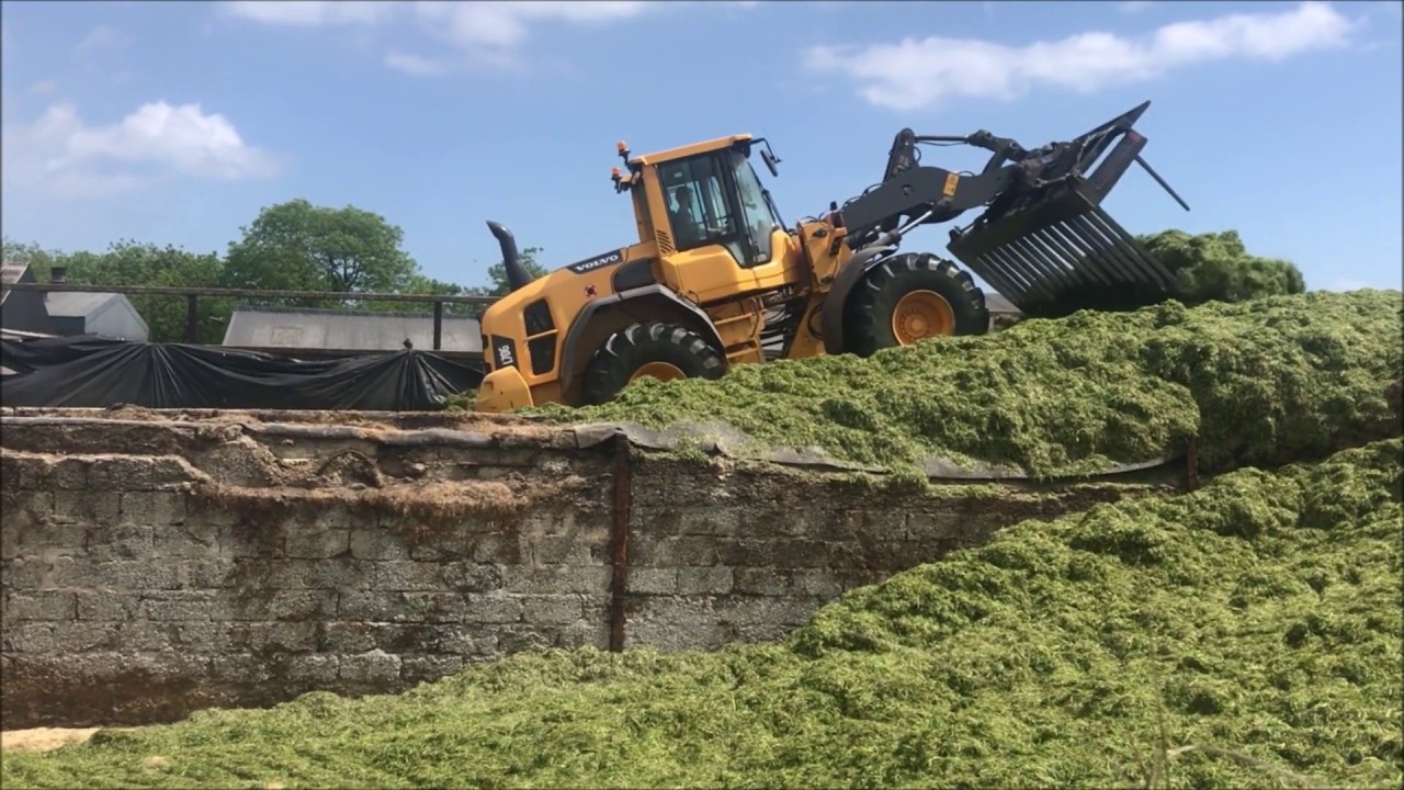 CLYDE CONTRACTS BUCKRAKING GRASS AT THE GABLES