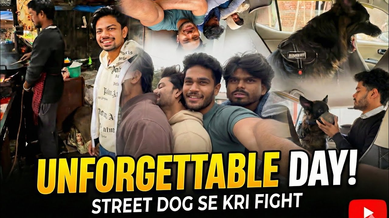 Street Dog se kari Roman Ne Fight 😱🥲#streetdog #love#vlog 