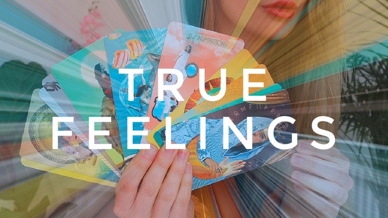 THEIR TRUE FEELINGS! // How do they feel about you right now! // PICK A CARD Tarot (timeless)