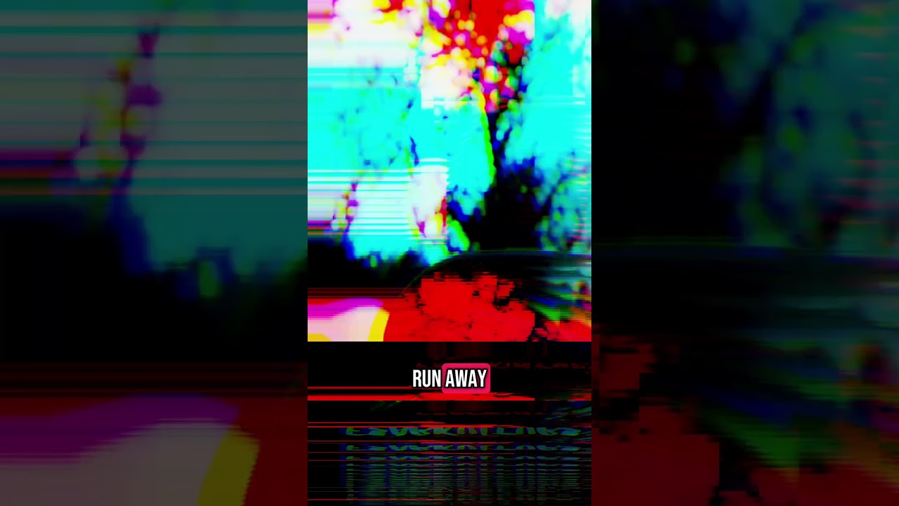 Distorted, Disoriented 
