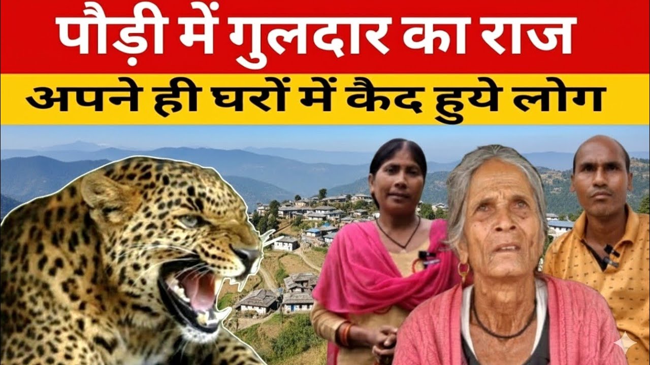 पौड़ी में गुलदार का राज : बाघ मारें तो जेल और बाघ आदमी मारे तो ? Leopard attack 