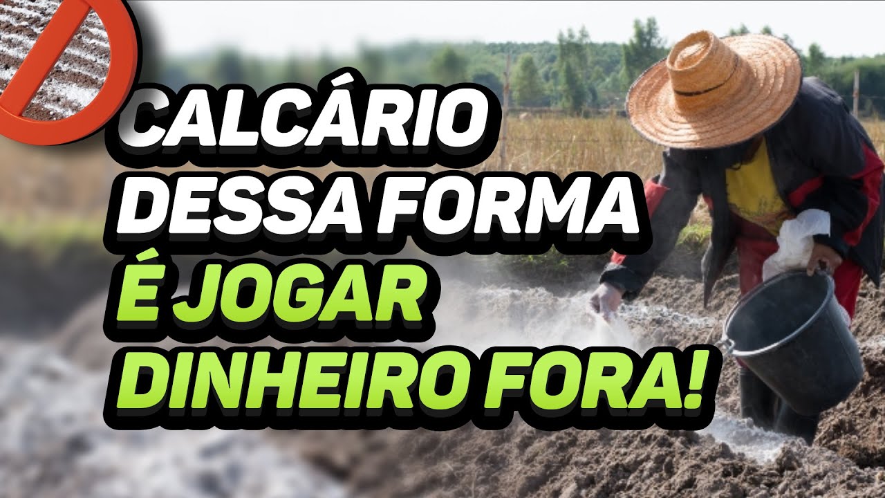 APLICAÇÃO DE CALCÁRIO SUPERFICIAL, COMO FAZER?