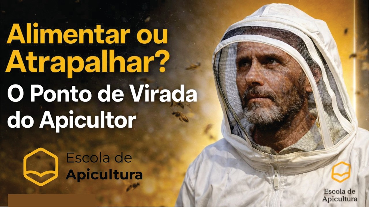 ALIMENTAR OU ATRAPALHAR?: O ponto de virada do apicultor