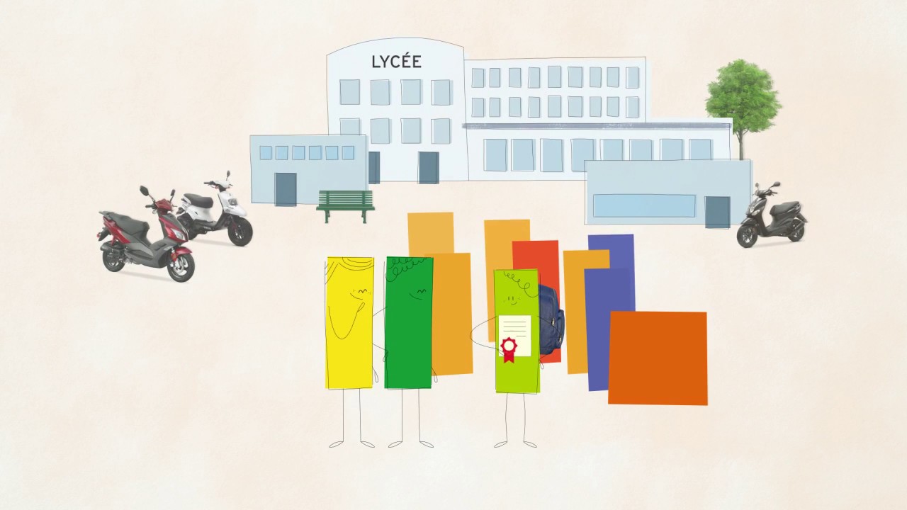 L'organisation de la vie à l'école