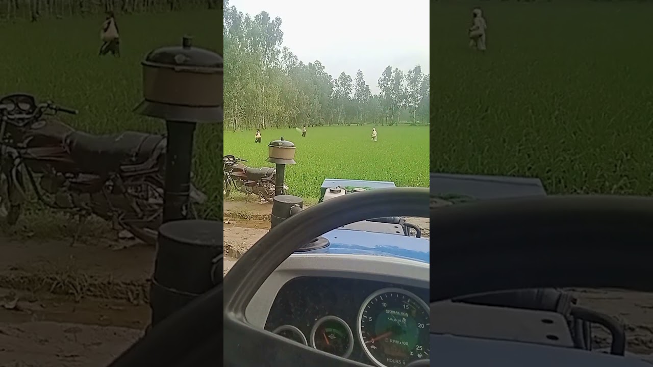 #paddy #seeds #farming #up #farmlife #games #online #treding #music #agriculture #tractor #shorts ##