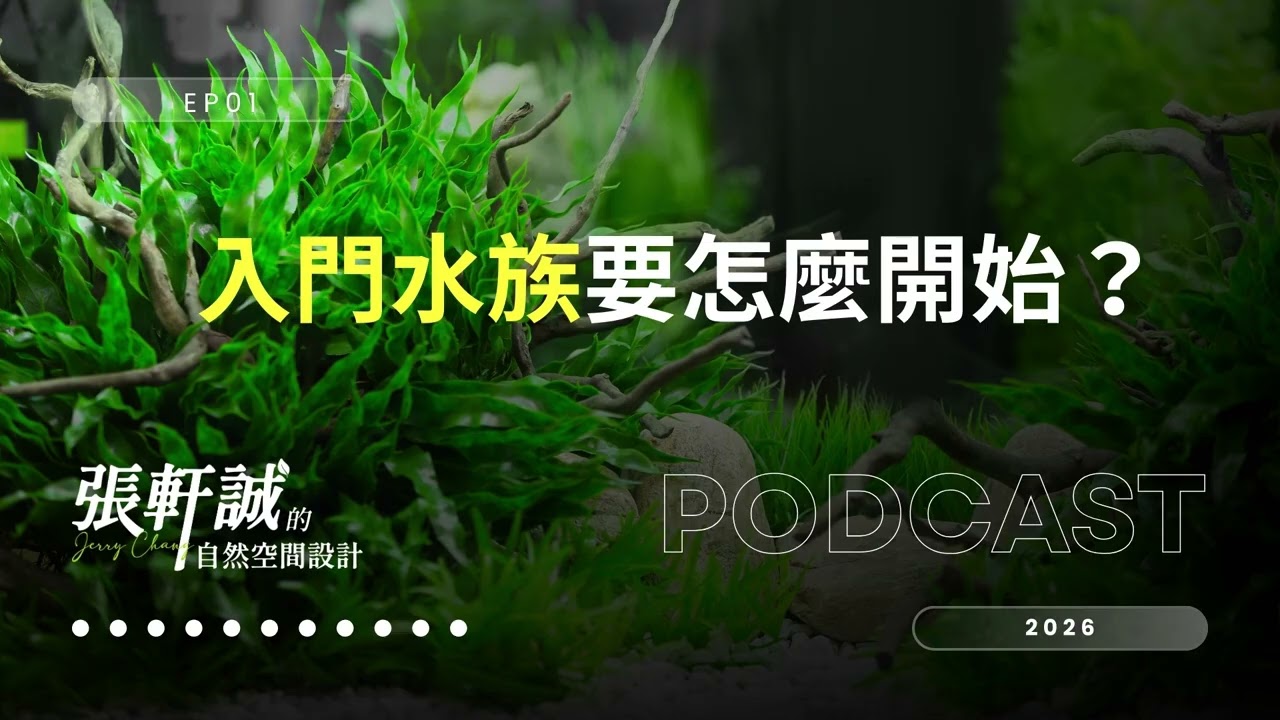 EP01 入門水族要怎麼開始？｜張軒誠的自然空間設計