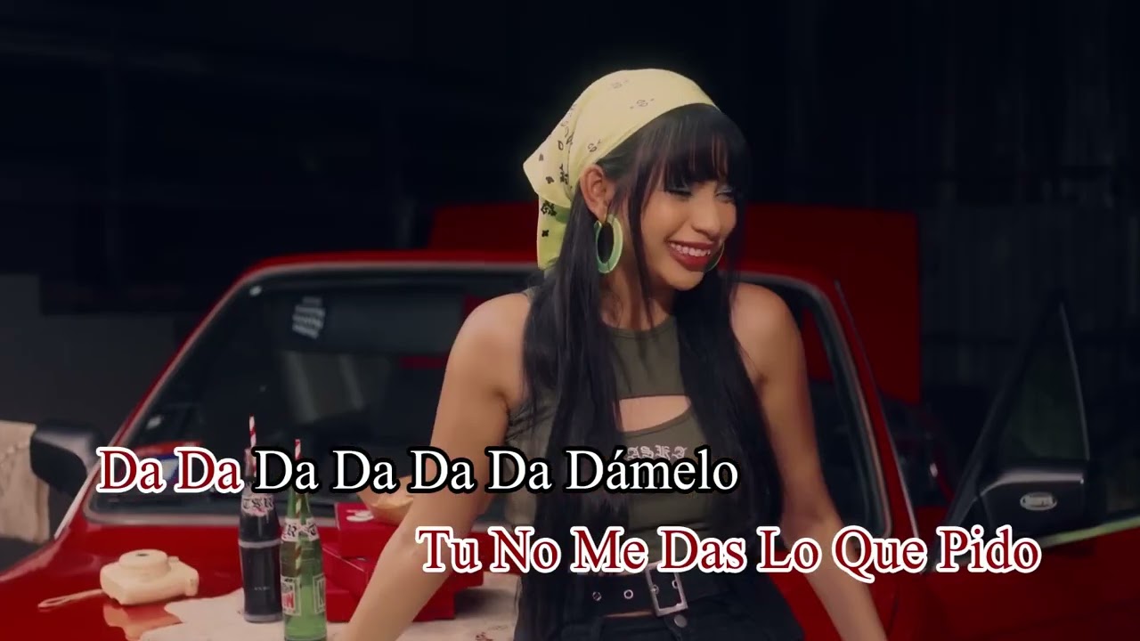 DOLLA - DAMELO (Official Karaoke Video)