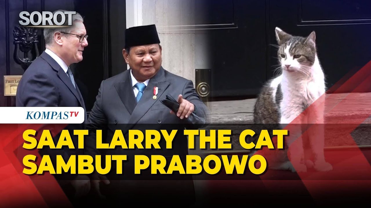 Saat Larry The Cat Ikut Sambut Presiden Prabowo Jelang Bertemu PM Inggris di Downing Street