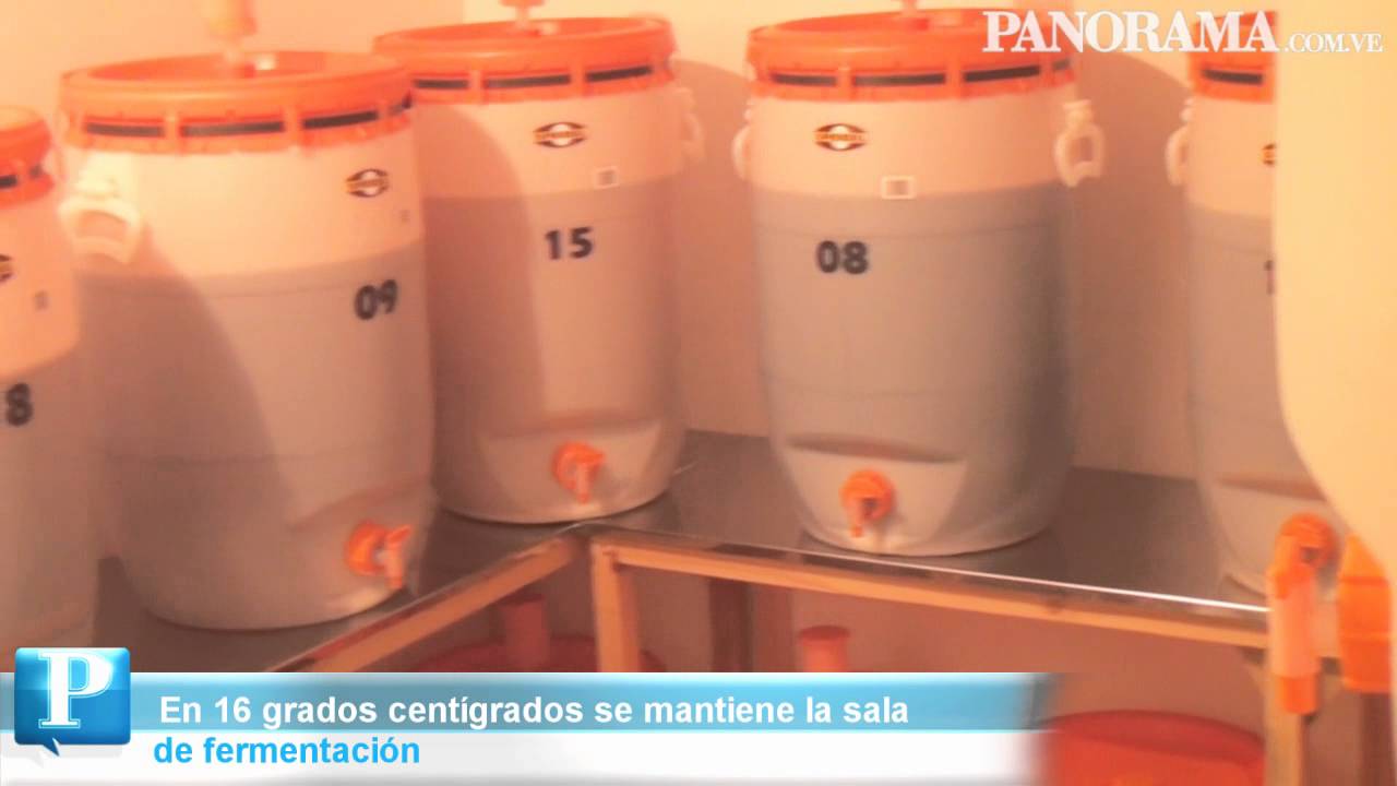 Así se fabrica una cerveza casera en San Francisco