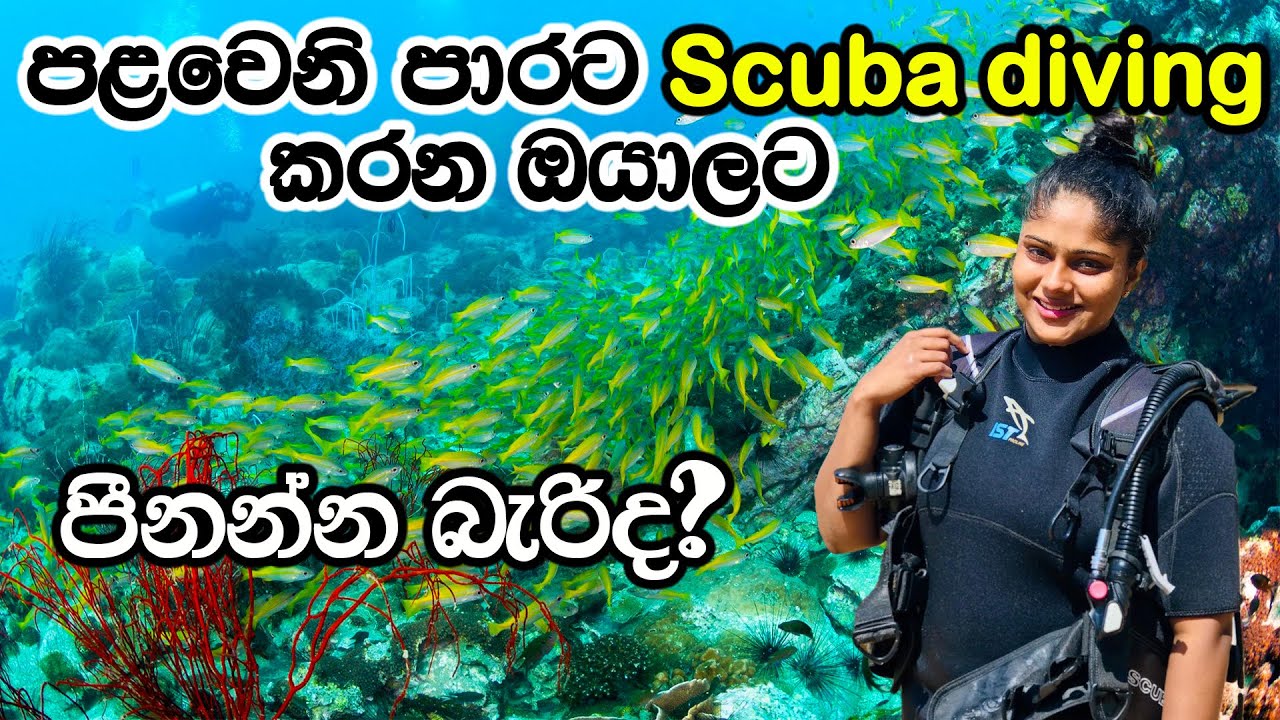 Scuba Diving Experience in Unawatuna Sri Lanka, Beginner's Guide, First Experience, shark, wheels,
