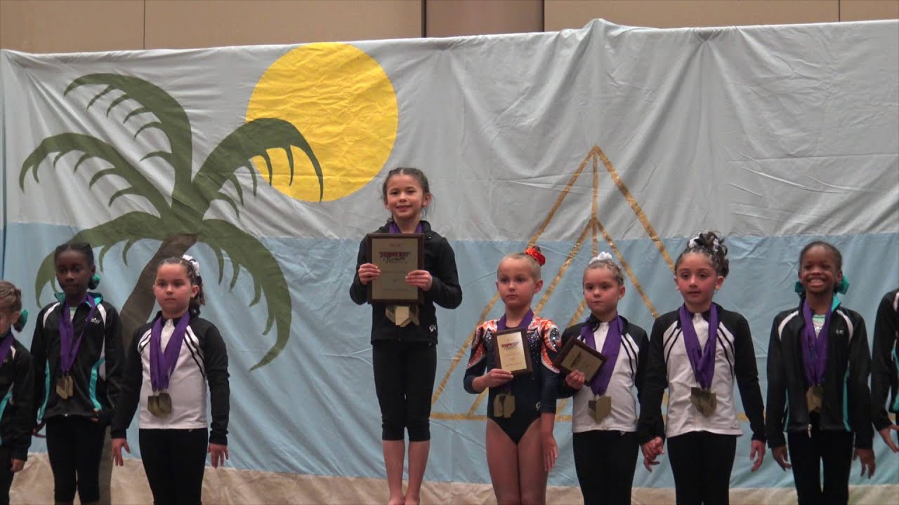 USAG Level 4 Tampa Bay Turners Invite 1-17-16| 1st Place AA & Uneven Bars at Meet |Gymnastics Videos