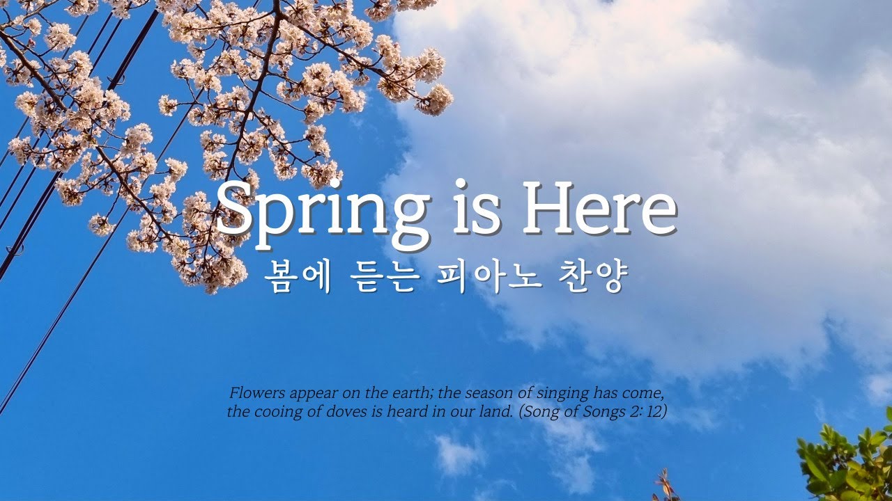 봄에 듣는 피아노 찬양🌸 | 기도할때 듣는 CCM 피아노 연주, 묵상 피아노 | Spring is Here, Prayer, Peaceful Hymns, QT, Healing
