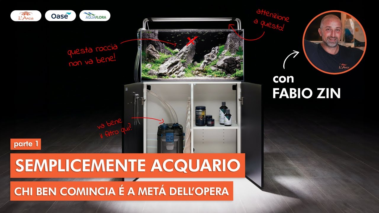 COME ALLESTIRE UN ACQUARIO IN MODO SEMPLICE? | PARTIAMO DALLE BASI | SEMPLICEMENTE ACQUARIO pt. 1 🐟🌿