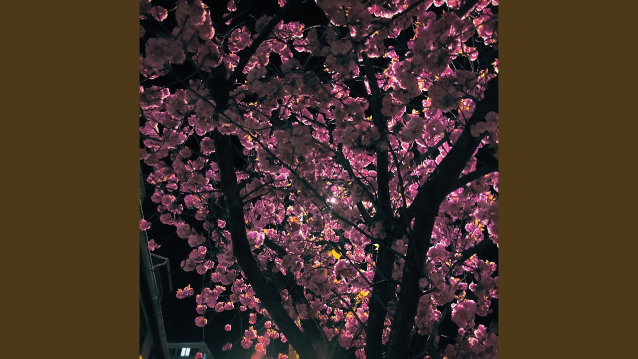 Springlight