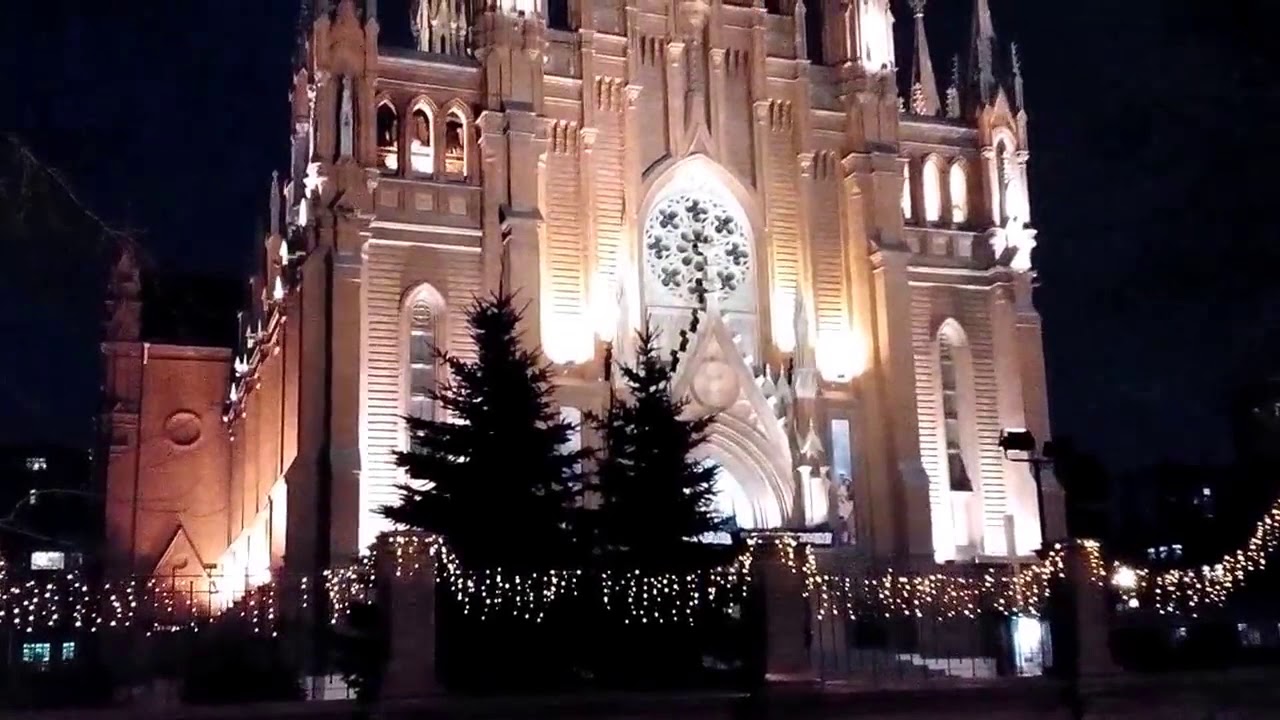 Орган в ночи. Римско-католический кафедральный собор в Москве.
