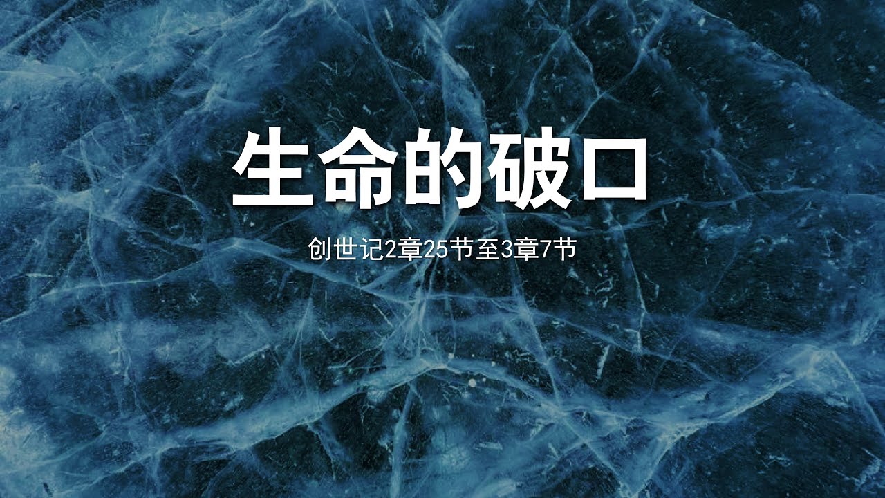 生命的破口
