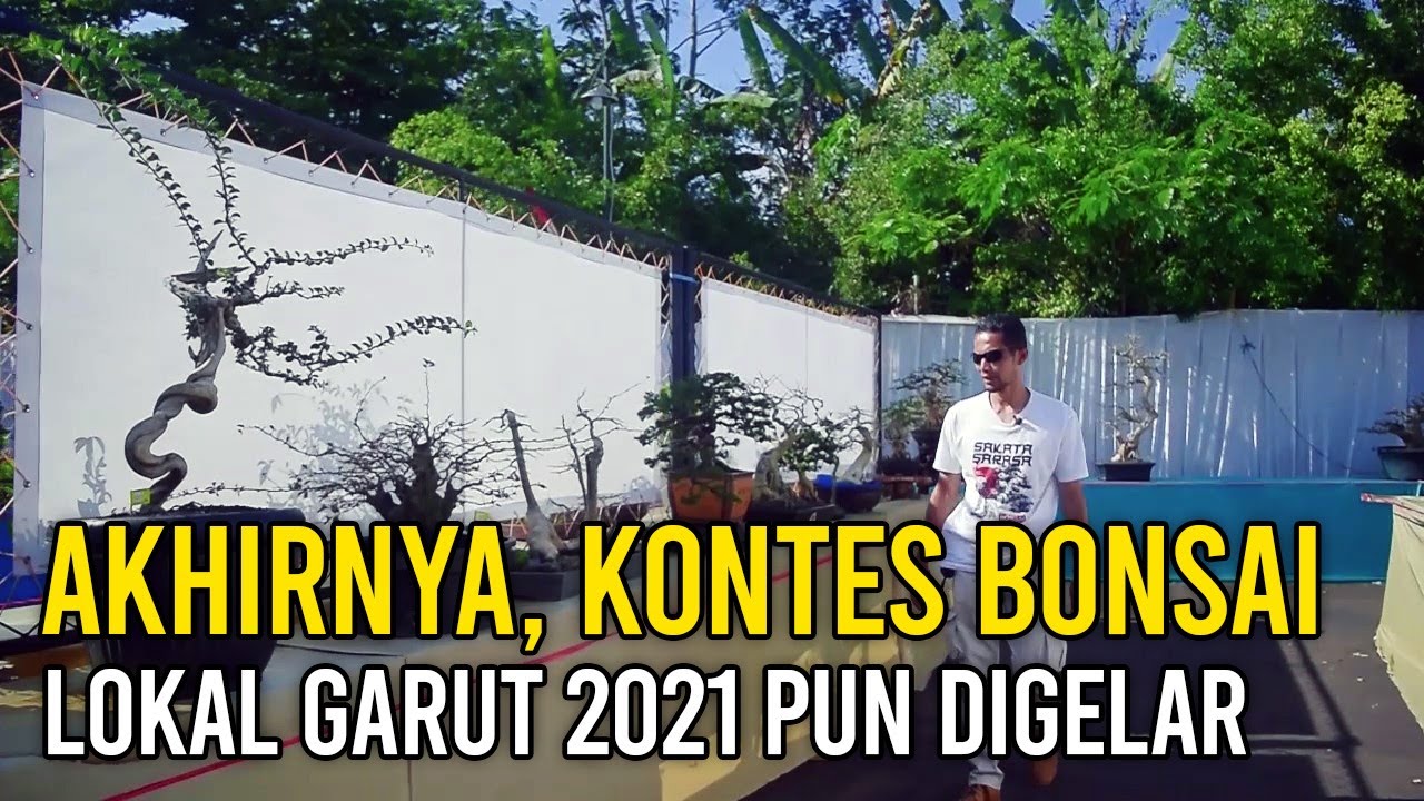 Kontes Bonsai Lokal Garut 2021 Pun Akhirnya Sukses Digelar