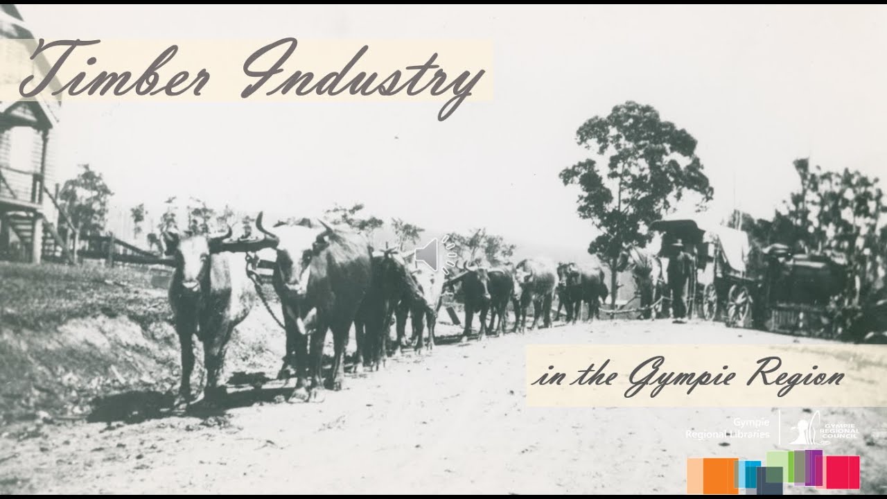 Timber Industry in the Gympie Region