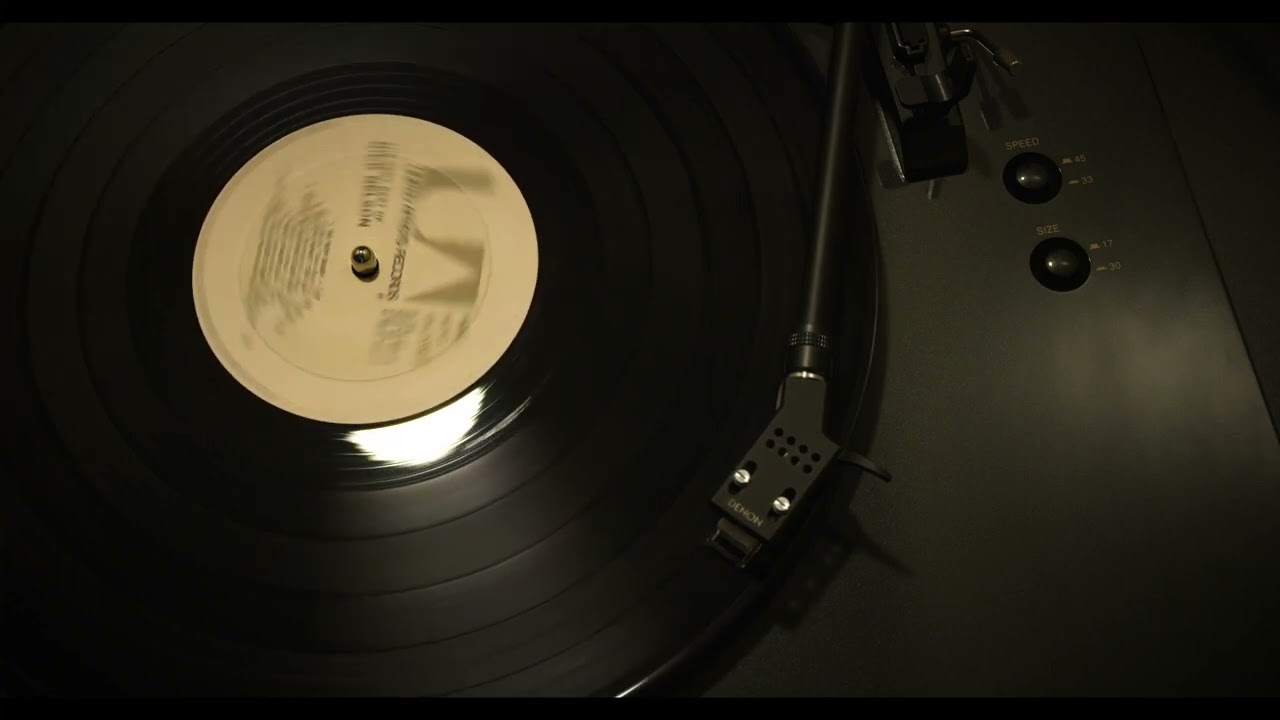 Sample for Vintage Vinyl Album: The Very Best of Rick Nelson