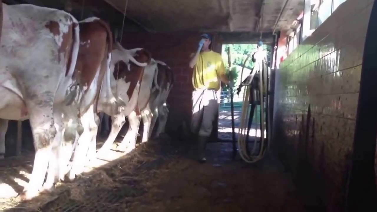 ОПЫТ ФЕРМЕРА