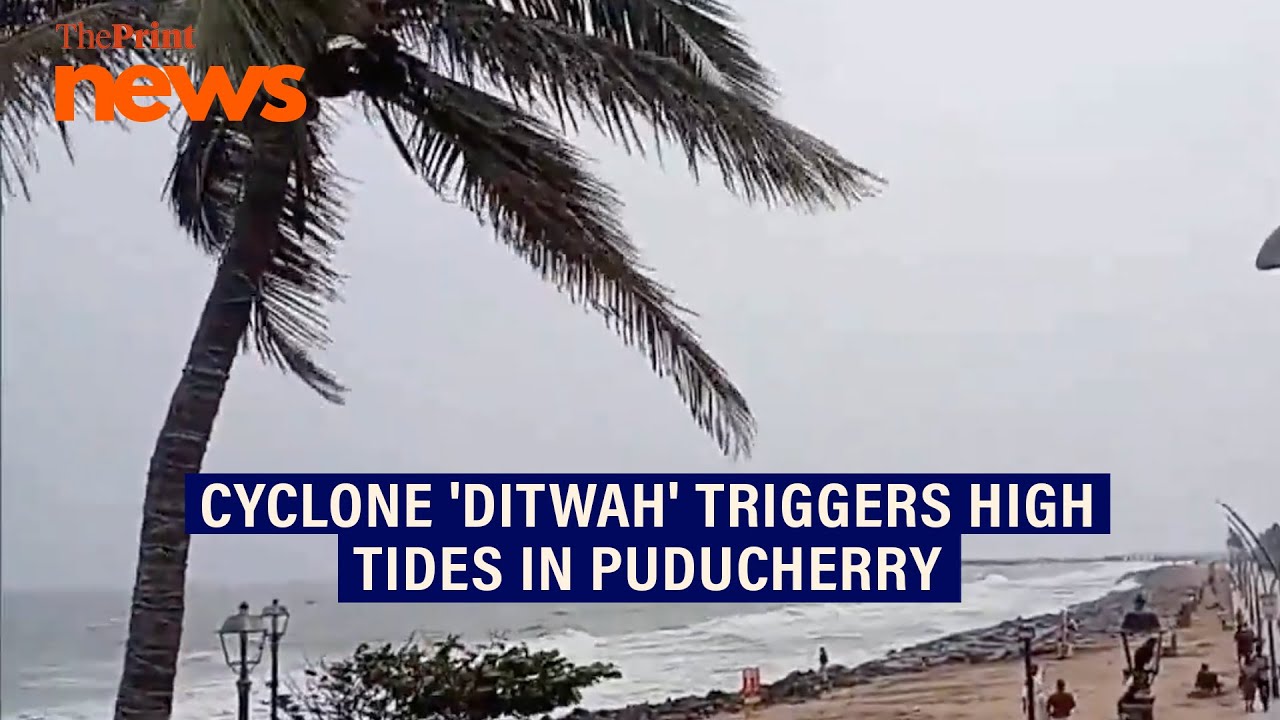 Cyclone 'Ditwah' triggers gusty winds and high tides in Puducherry. Disaster relief teams deployed