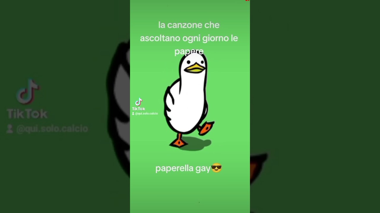 paperella gay😎😎
