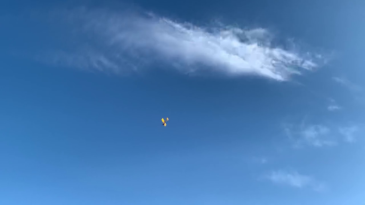 Seagull Decathlon 3.1m flown by Pilot Dugan
