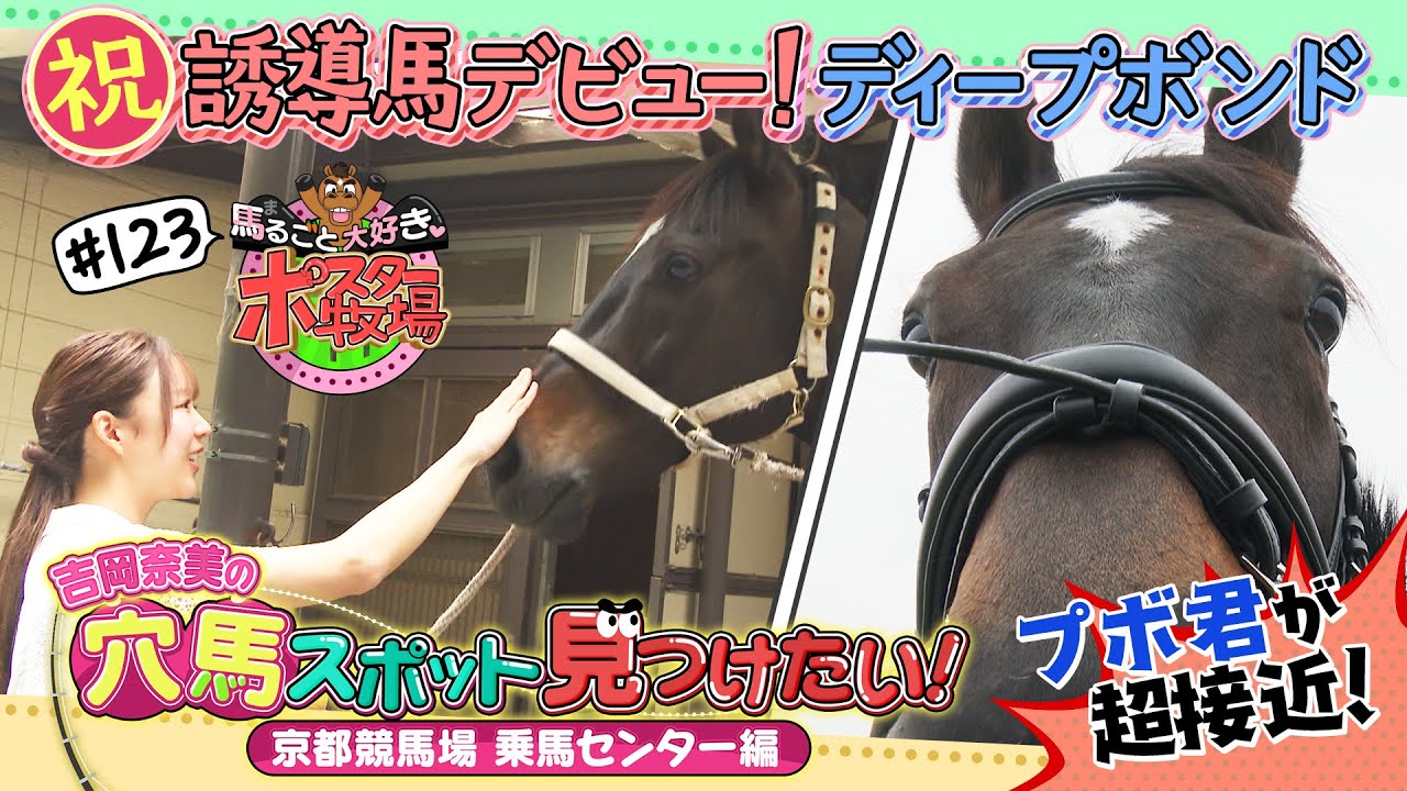 馬るごと大好き♡ポスター牧場　第１２３話「穴馬スポット見つけたい！～京都競馬場 乗馬センター～」