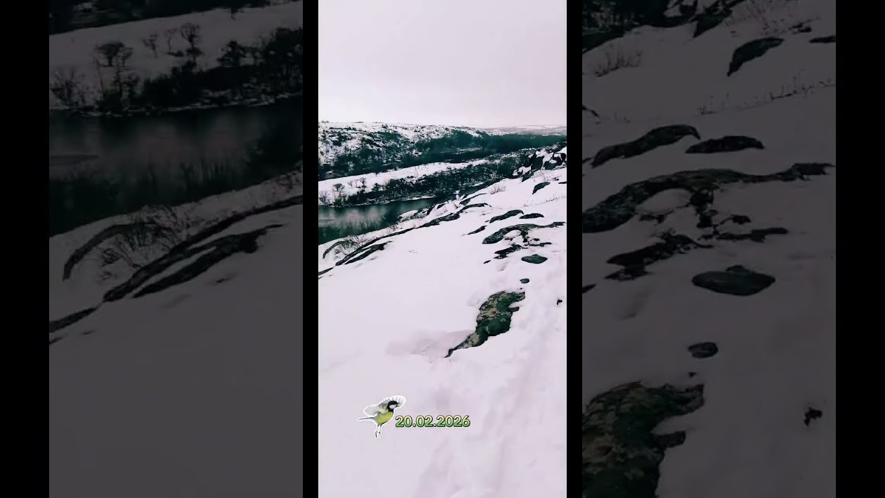 ❄️ Прогулочка ❄️ 20.02.2026❄️ Запись эфира ❄️