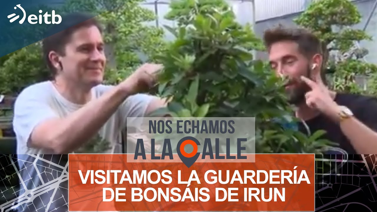 Visitamos la guardería de bonsáis de Irun