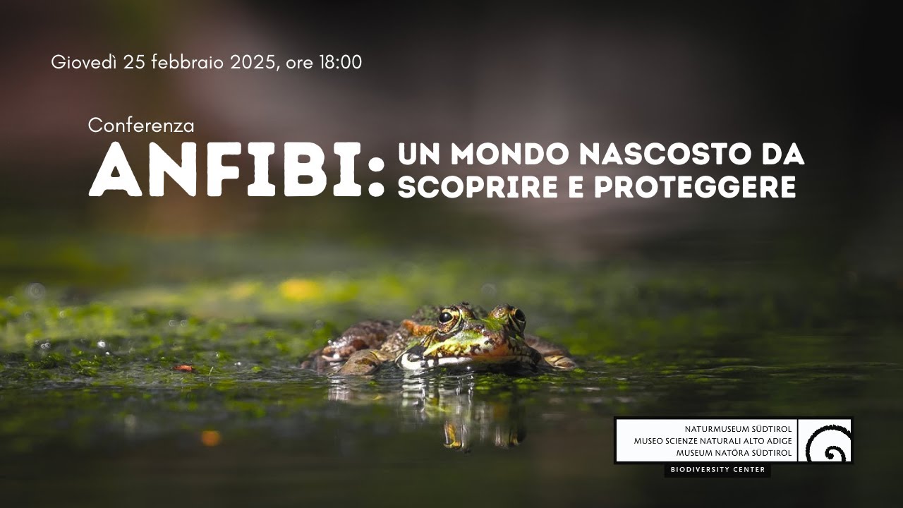 Anfibi: un mondo nascosto da scoprire e proteggere