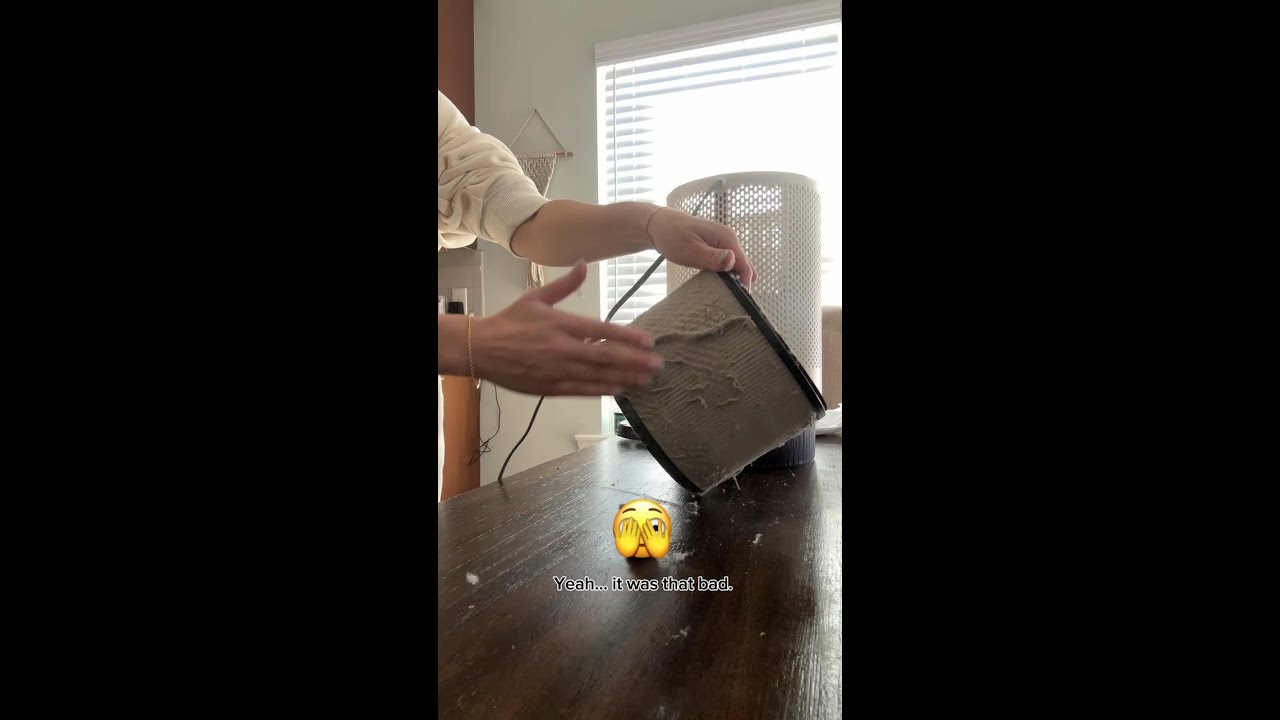 Can you believe my air purifier collected this much dust?